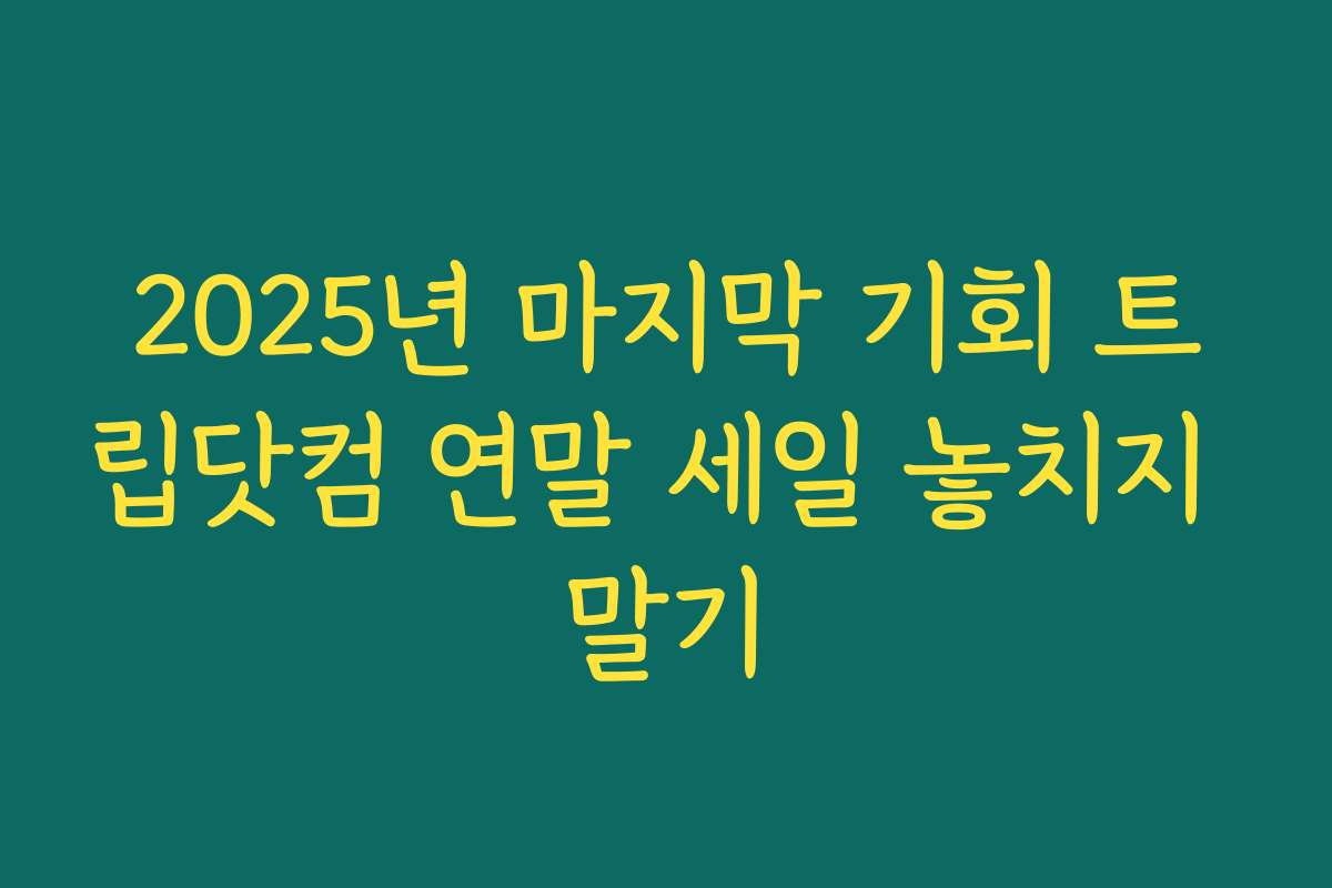 2025년 마지막 기회 트립닷컴 연말 세일 놓치지 말기