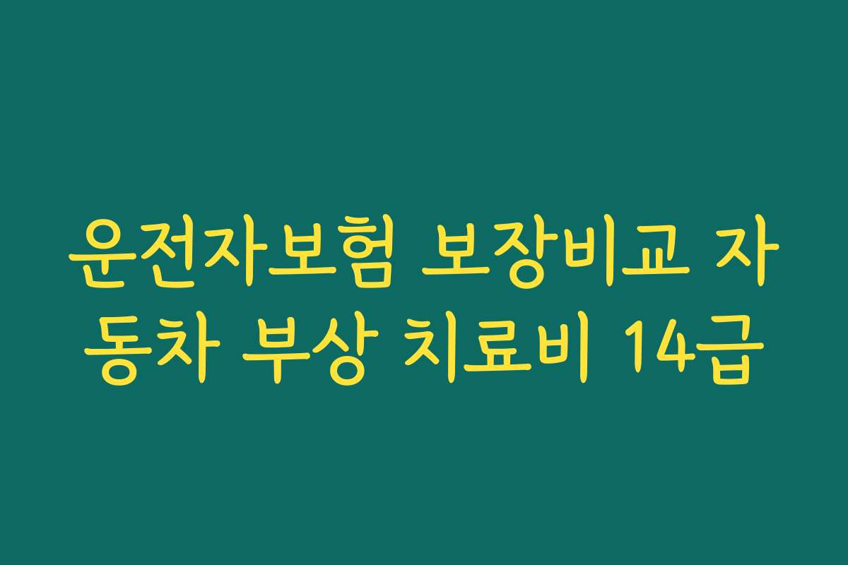 운전자보험 보장비교 자동차 부상 치료비 14급