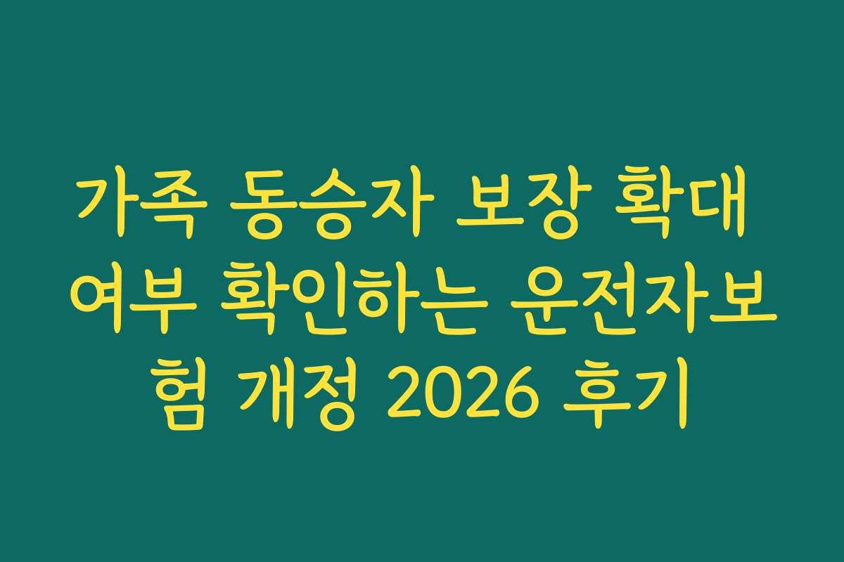 가족 동승자 보장 확대 여부 확인하는 운전자보험 개정 2026 후기