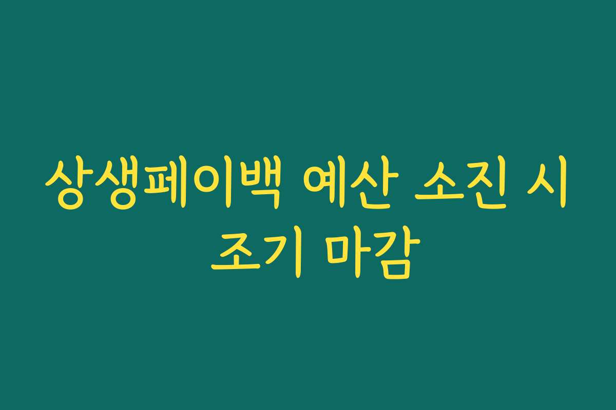 상생페이백 예산 소진 시 조기 마감