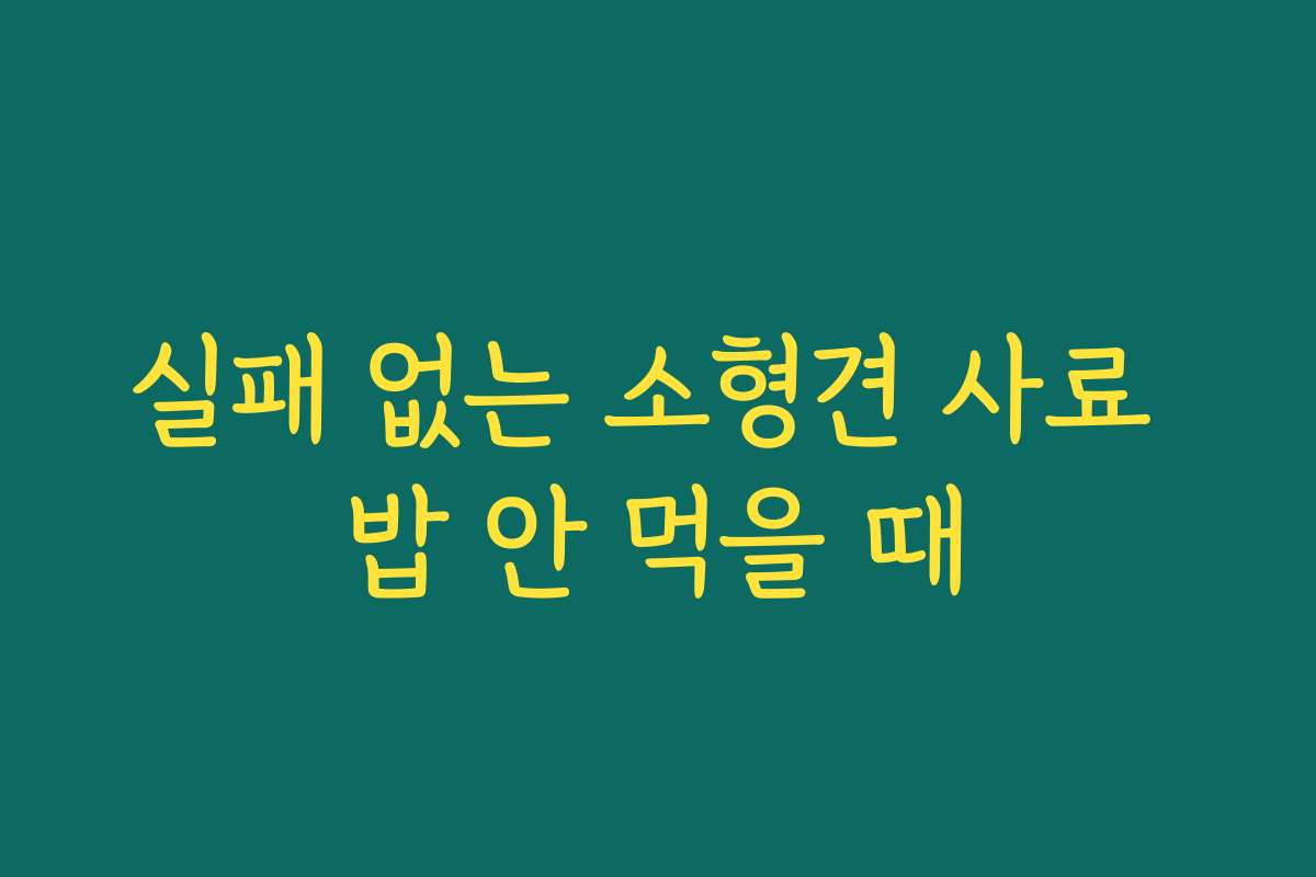 실패 없는 소형견 사료 밥 안 먹을 때