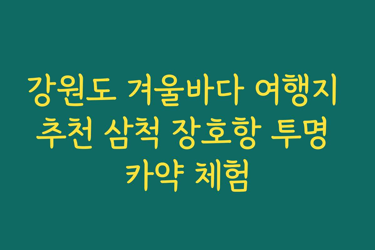 강원도 겨울바다 여행지 추천 삼척 장호항 투명 카약 체험