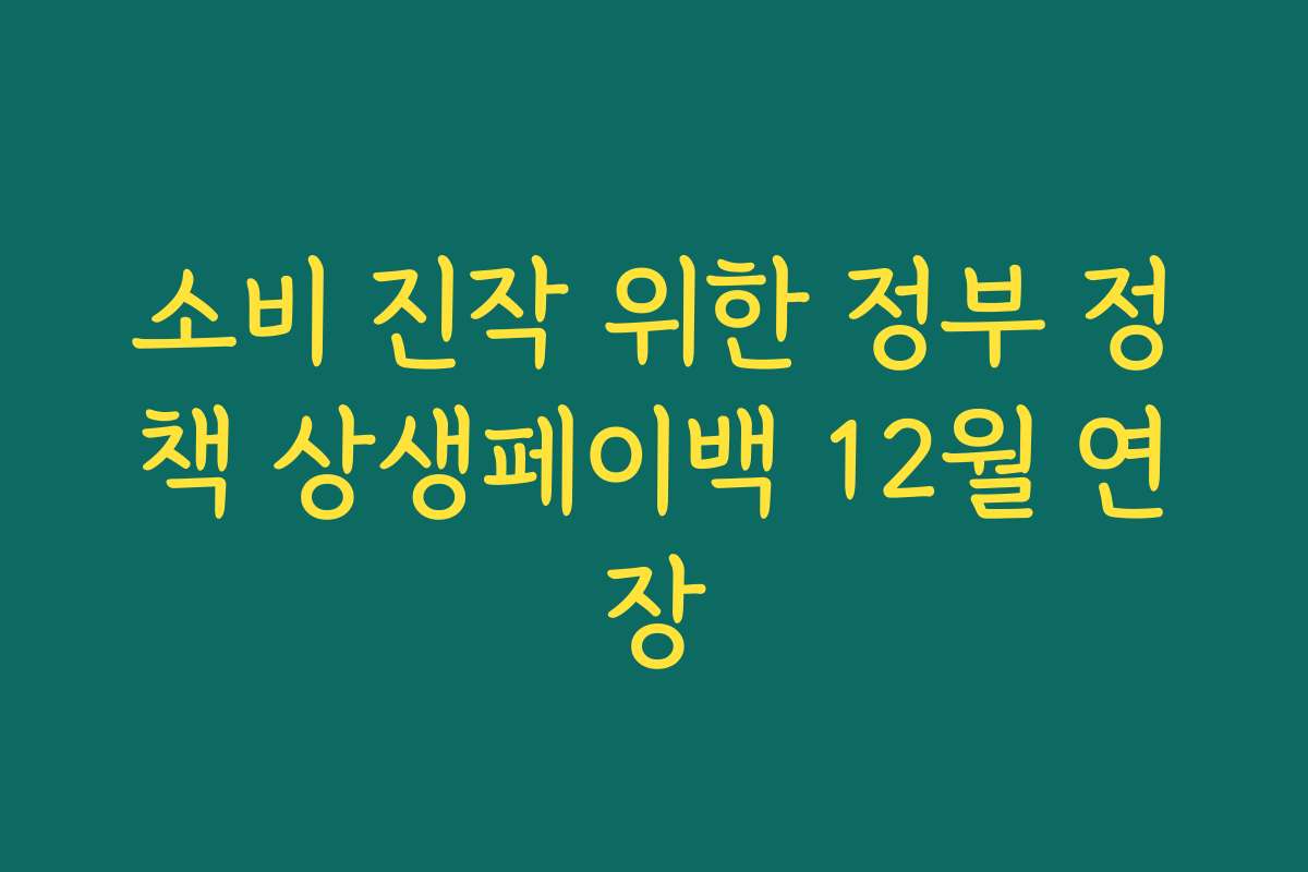 소비 진작 위한 정부 정책 상생페이백 12월 연장