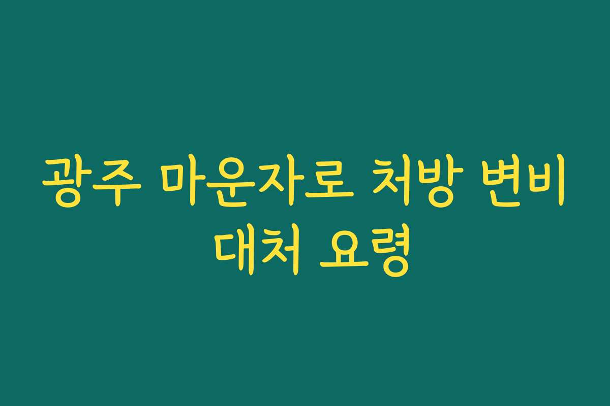 광주 마운자로 처방 변비 대처 요령