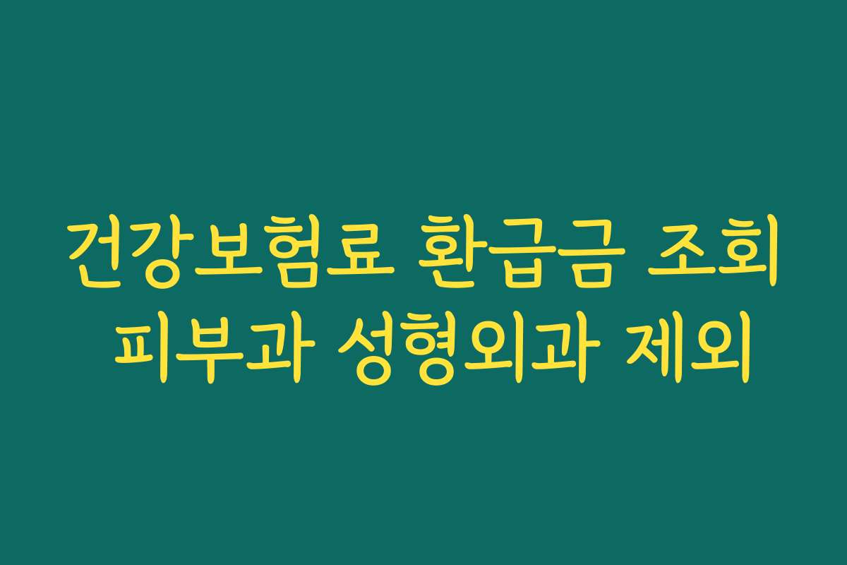 건강보험료 환급금 조회 피부과 성형외과 제외