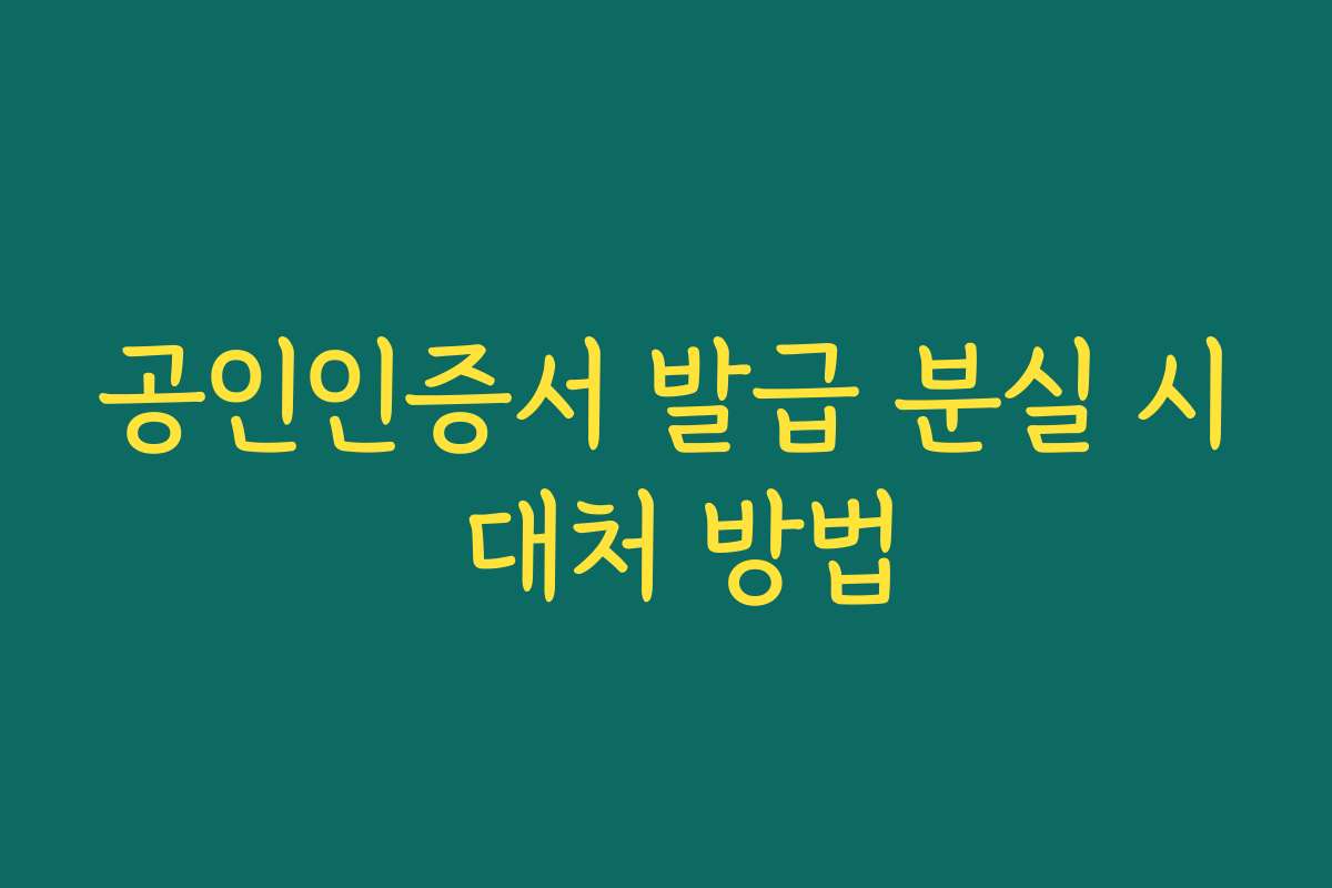 공인인증서 발급 분실 시 대처 방법