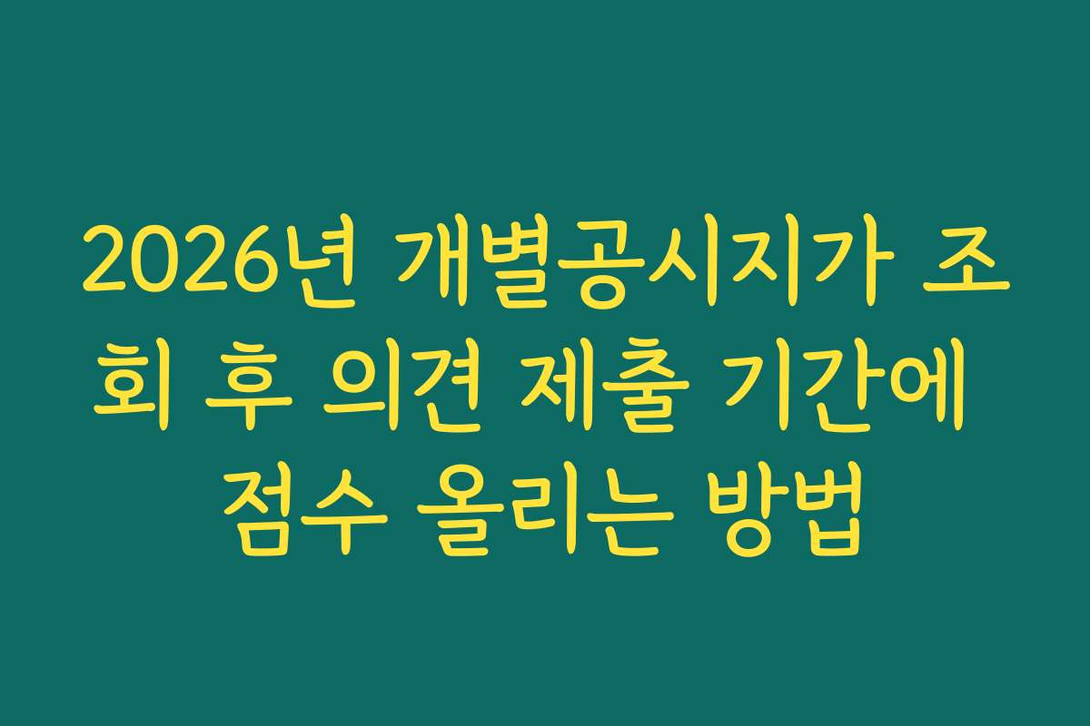 2026년 개별공시지가 조회 후 의견 제출 기간에 점수 올리는 방법