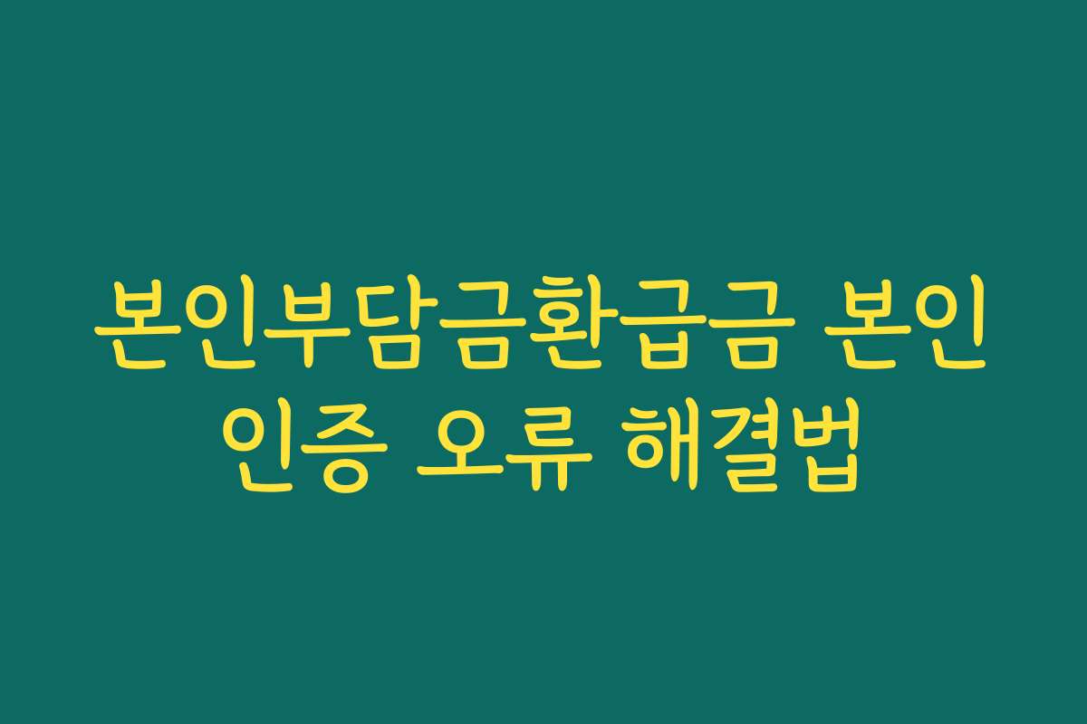 본인부담금환급금 본인인증 오류 해결법