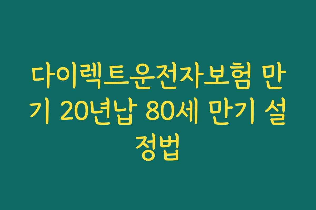 다이렉트운전자보험 만기 20년납 80세 만기 설정법
