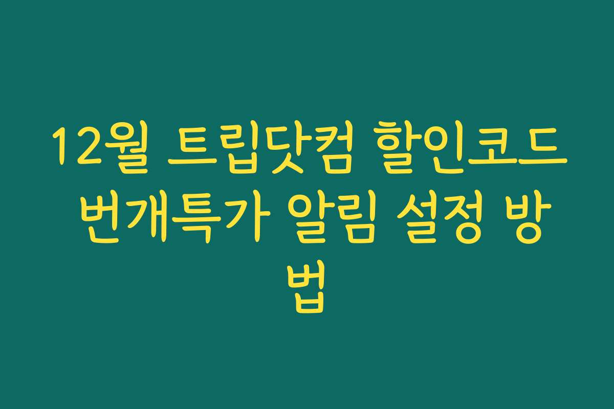 12월 트립닷컴 할인코드 번개특가 알림 설정 방법