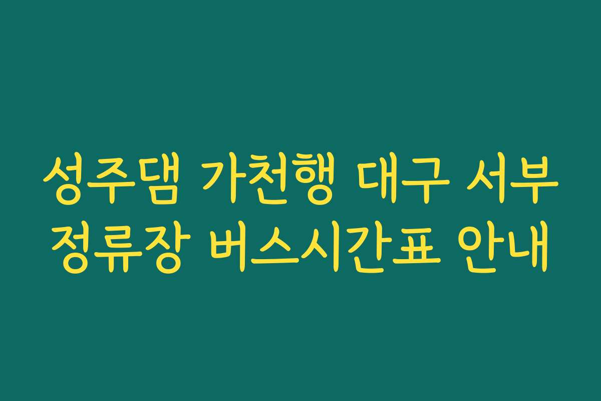 성주댐 가천행 대구 서부정류장 버스시간표 안내