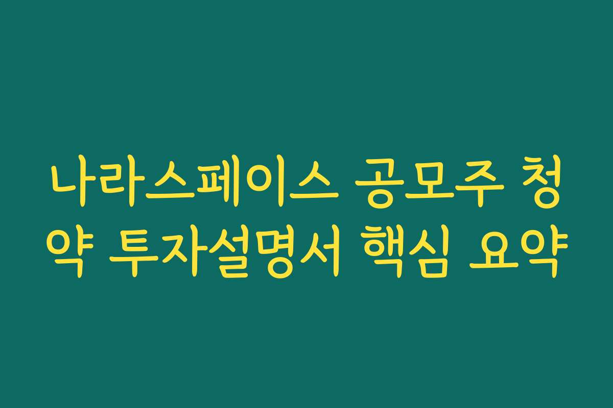 나라스페이스 공모주 청약 투자설명서 핵심 요약