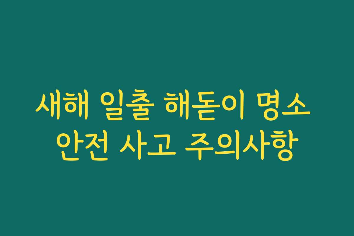 새해 일출 해돋이 명소 안전 사고 주의사항