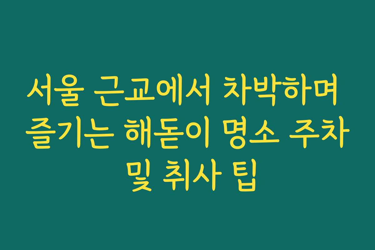 서울 근교에서 차박하며 즐기는 해돋이 명소 주차 및 취사 팁