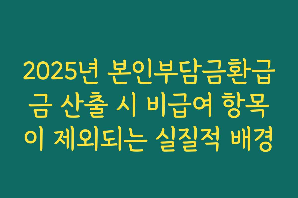 2025년 본인부담금환급금 산출 시 비급여 항목이 제외되는 실질적 배경