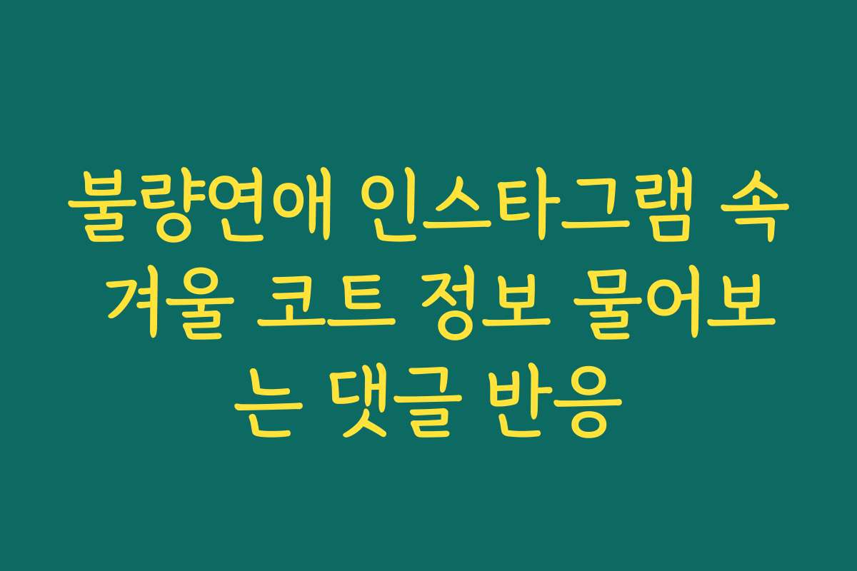불량연애 인스타그램 속 겨울 코트 정보 물어보는 댓글 반응