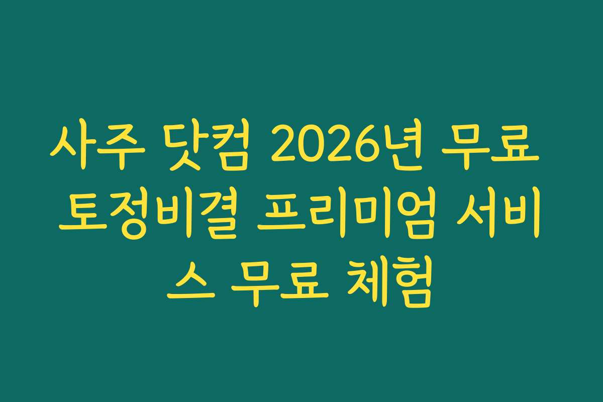 사주 닷컴 2026년 무료 토정비결 프리미엄 서비스 무료 체험