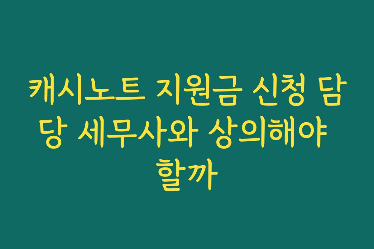 캐시노트 지원금 신청 담당 세무사와 상의해야 할까
