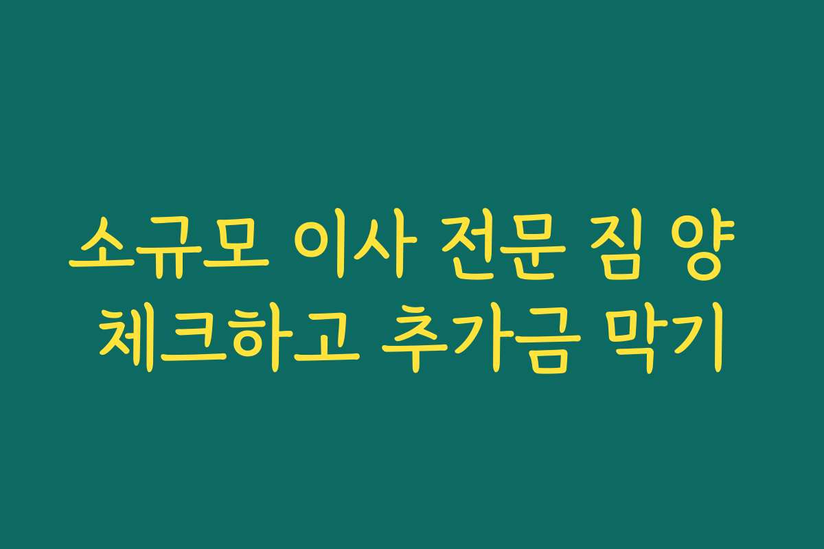 소규모 이사 전문 짐 양 체크하고 추가금 막기