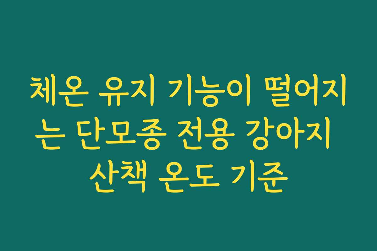 체온 유지 기능이 떨어지는 단모종 전용 강아지 산책 온도 기준