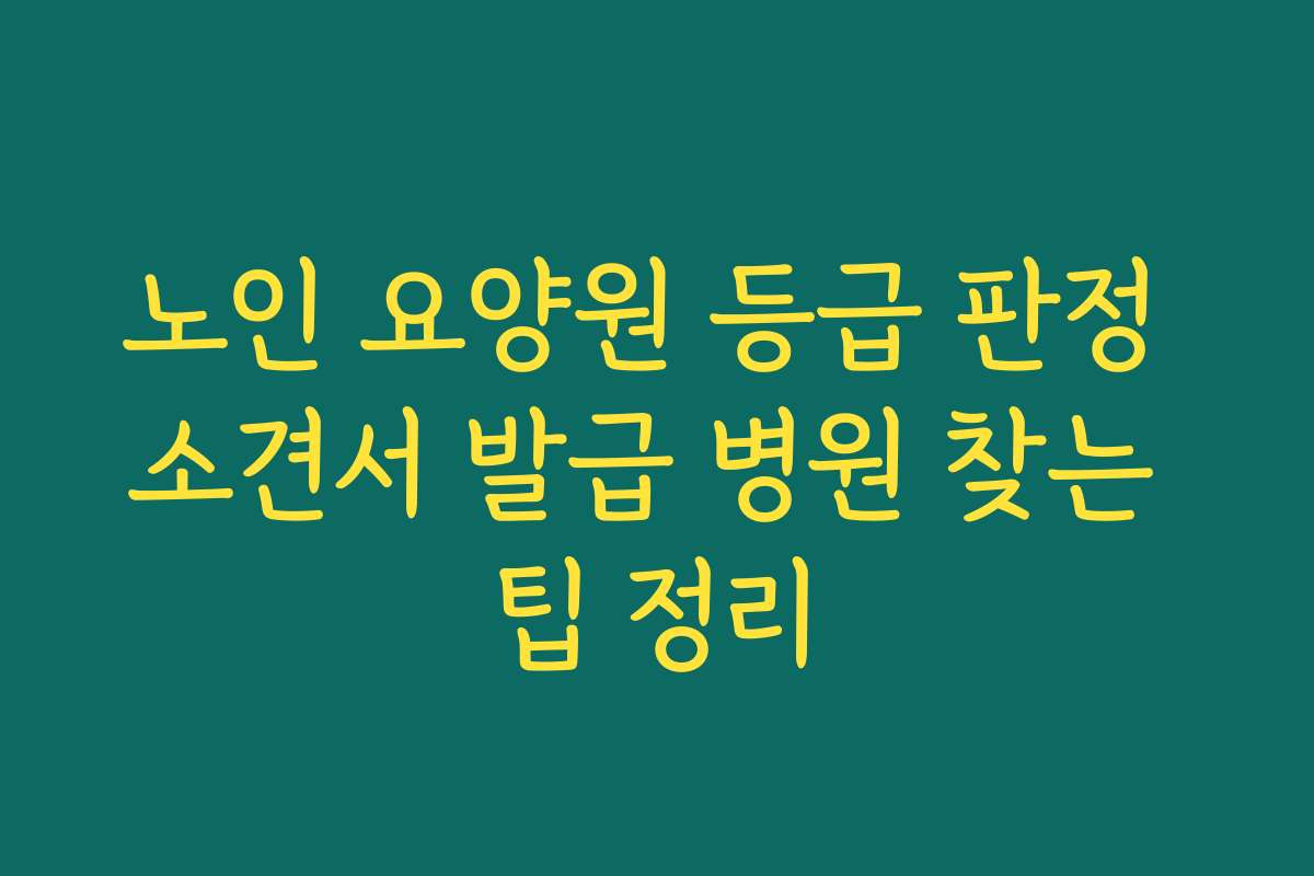 노인 요양원 등급 판정 소견서 발급 병원 찾는 팁 정리