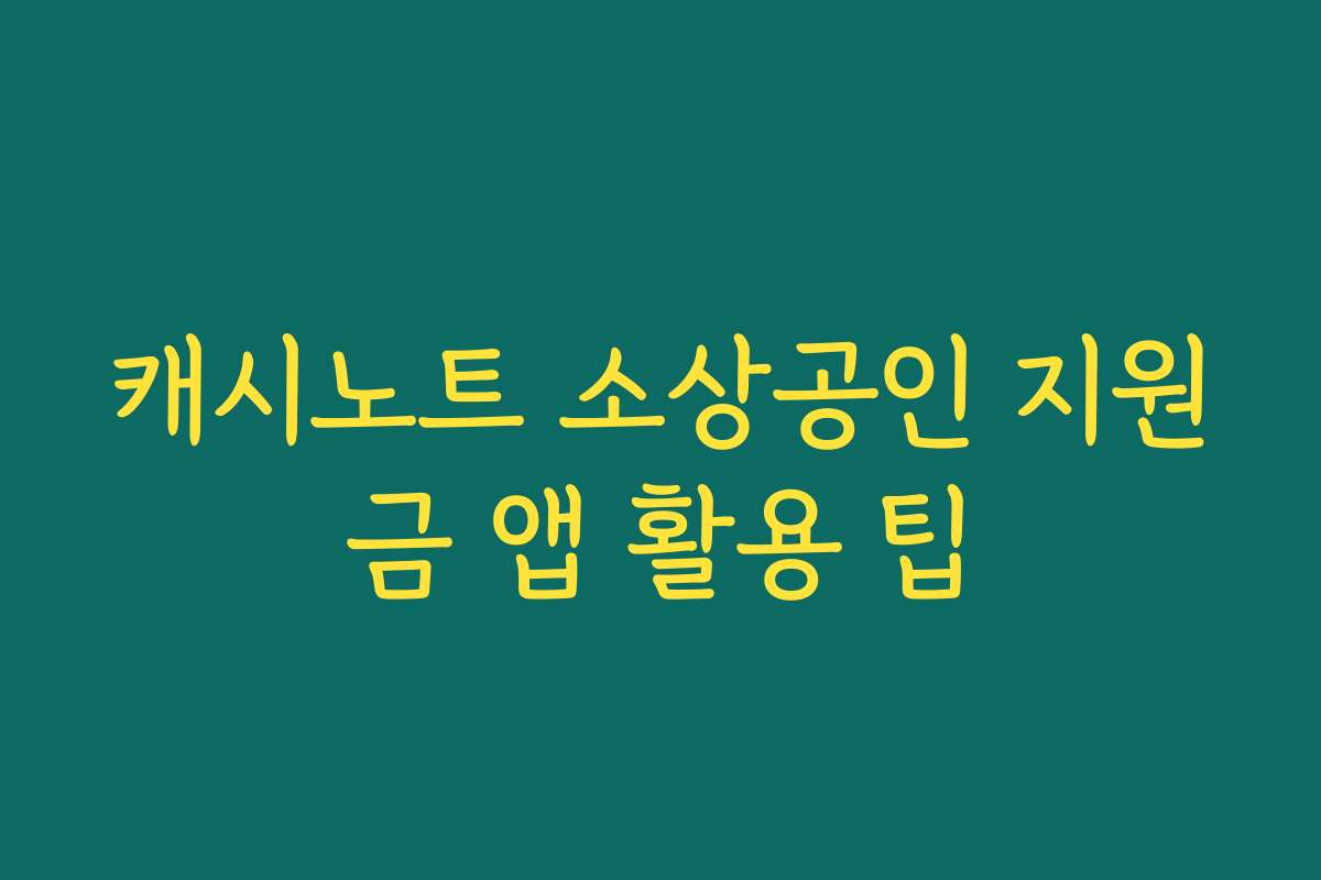 캐시노트 소상공인 지원금 앱 활용 팁