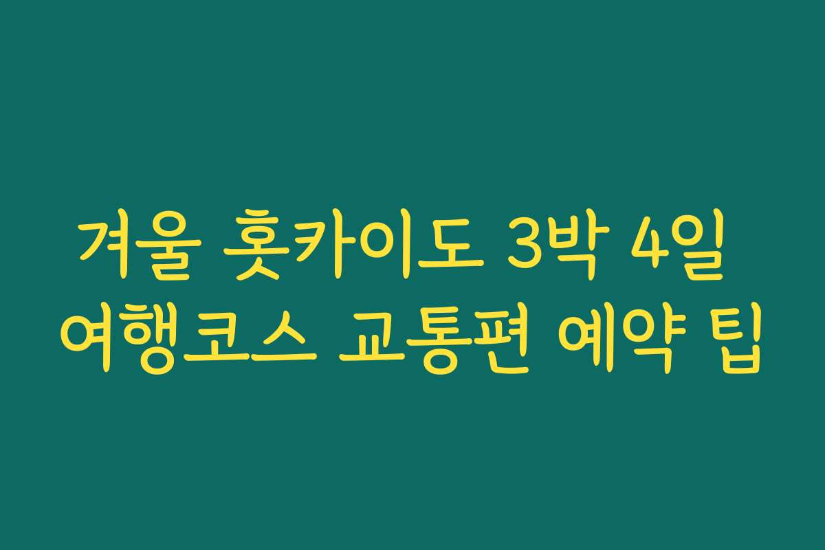 겨울 홋카이도 3박 4일 여행코스 교통편 예약 팁