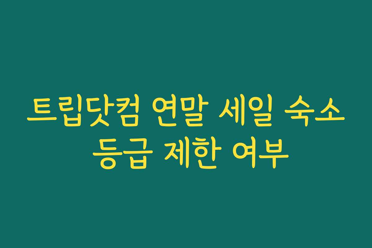 트립닷컴 연말 세일 숙소 등급 제한 여부