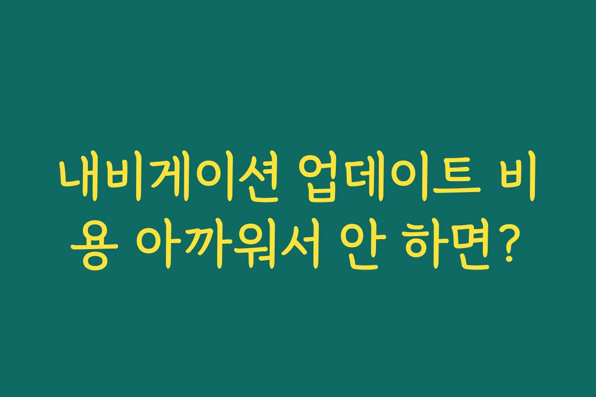 내비게이션 업데이트 비용 아까워서 안 하면?