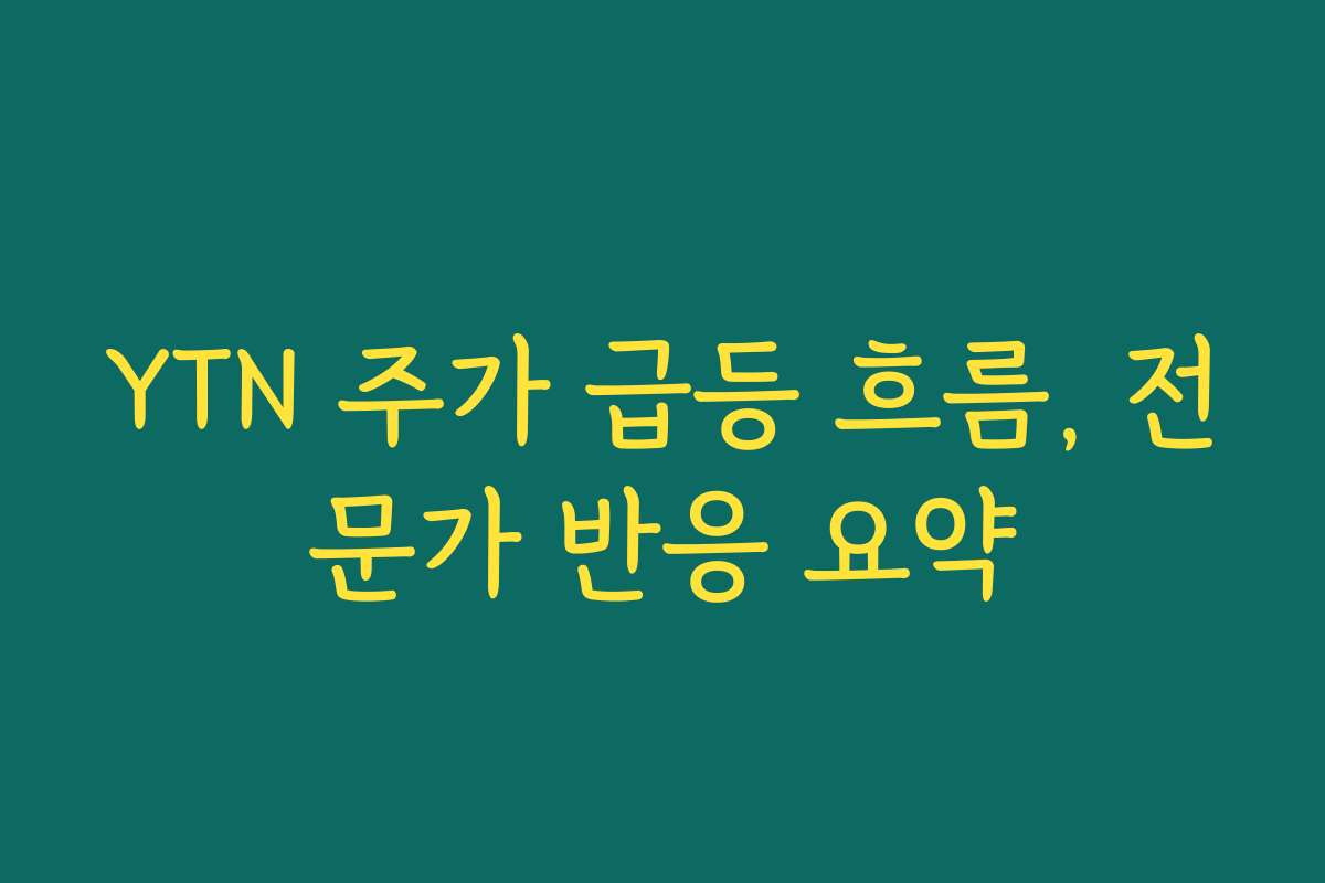 YTN 주가 급등 흐름, 전문가 반응 요약
