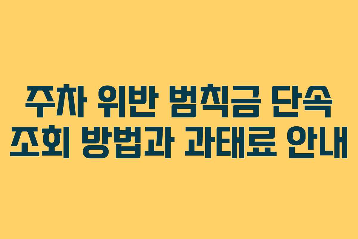 주차 위반 범칙금 단속 조회 방법과 과태료 안내