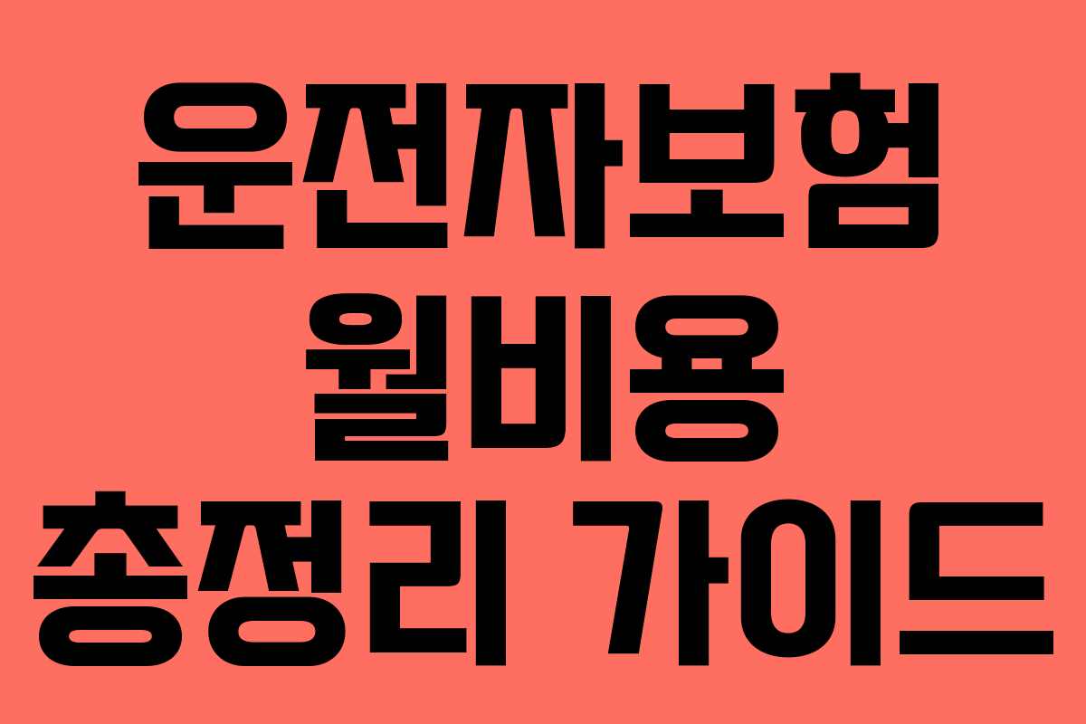 운전자보험 월비용 총정리 가이드