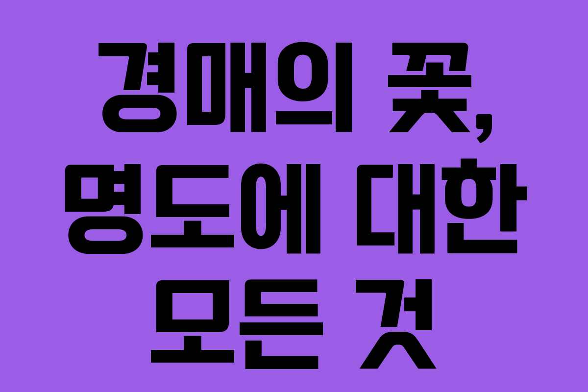 경매의 꽃, 명도에 대한 모든 것