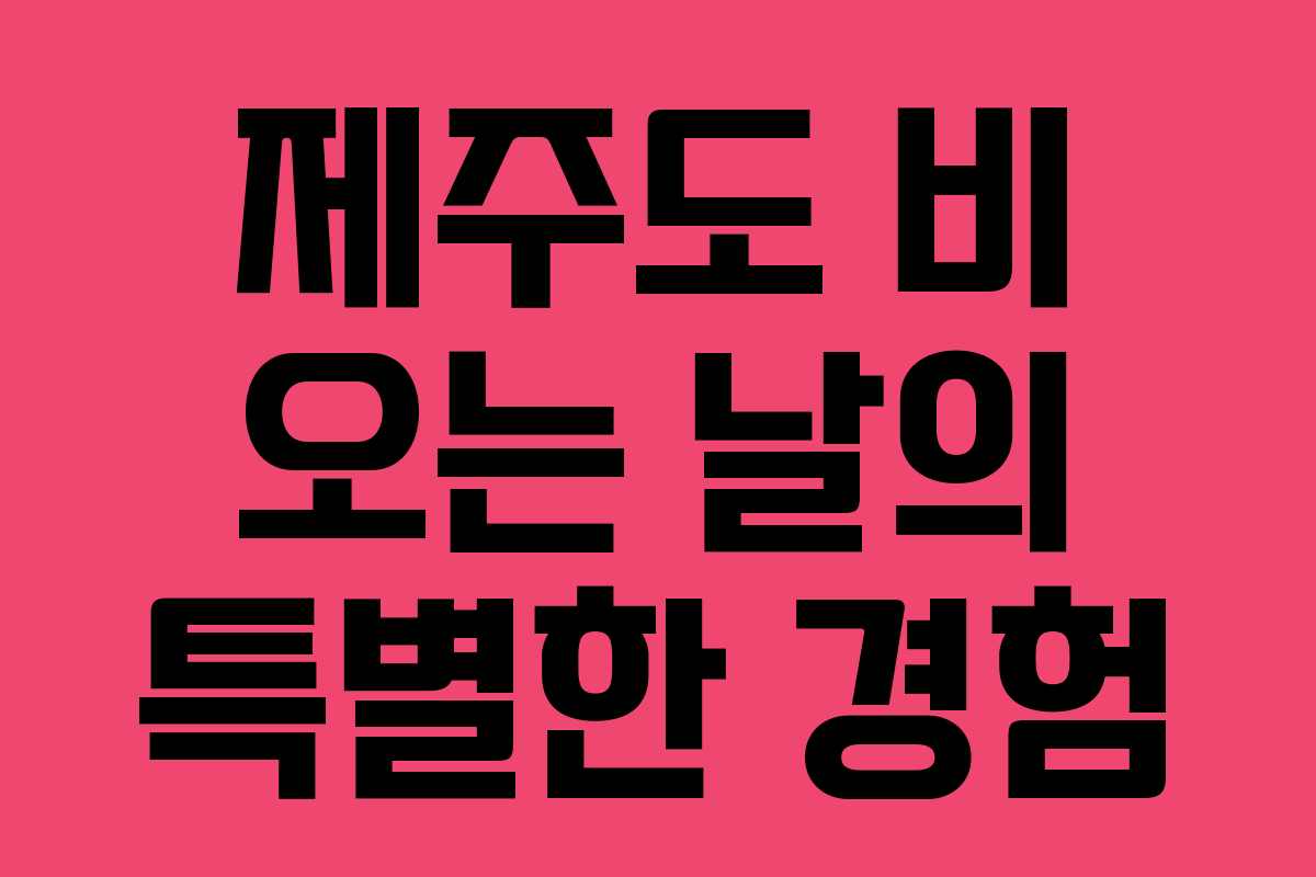 제주도 비 오는 날의 특별한 경험
