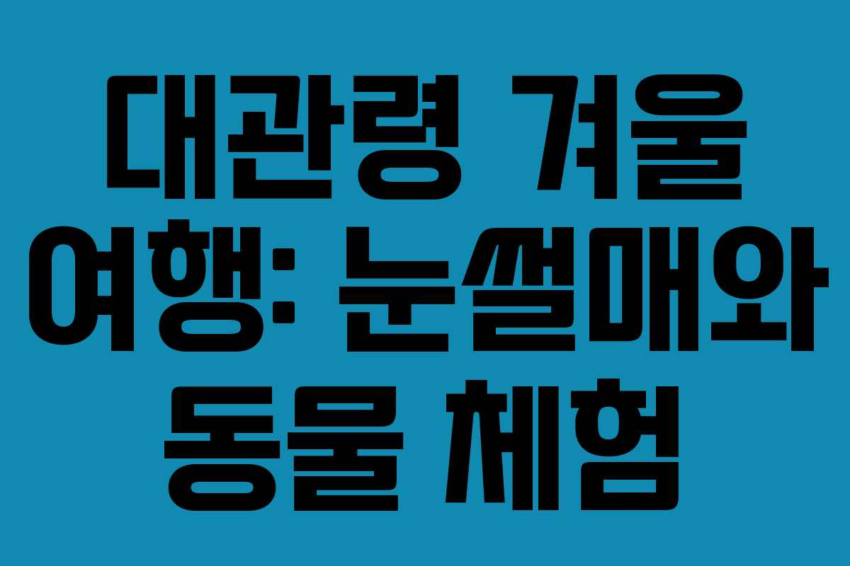대관령 겨울 여행: 눈썰매와 동물 체험