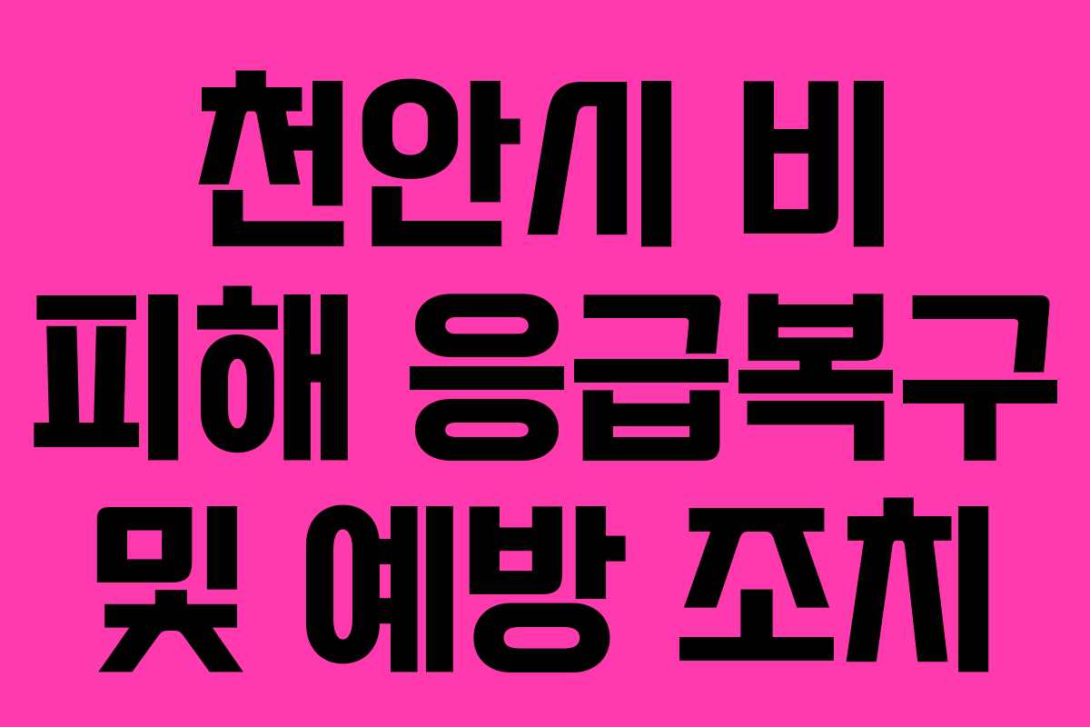 천안시 비 피해 응급복구 및 예방 조치