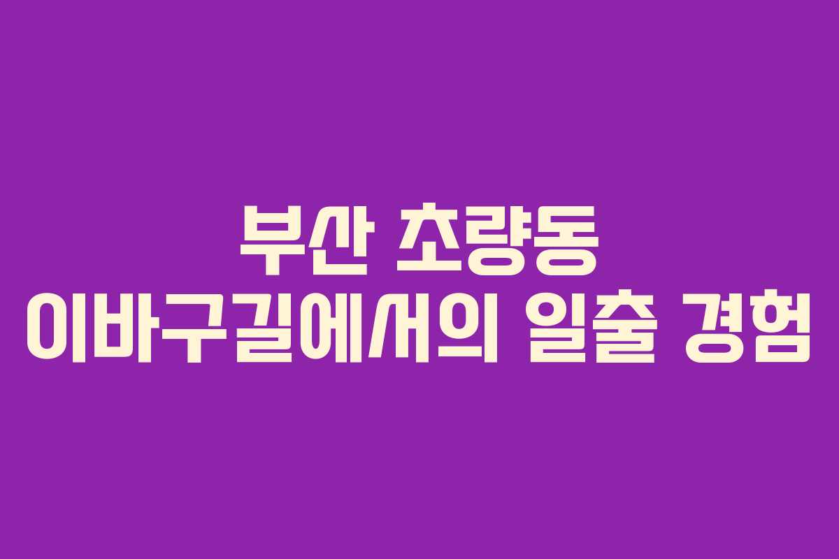 부산 초량동 이바구길에서의 일출 경험