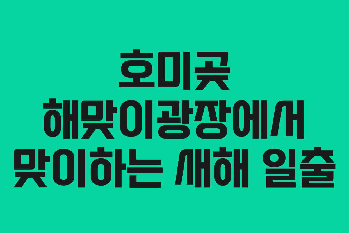호미곶 해맞이광장에서 맞이하는 새해 일출