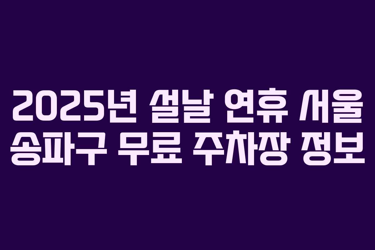 2025년 설날 연휴 서울 송파구 무료 주차장 정보