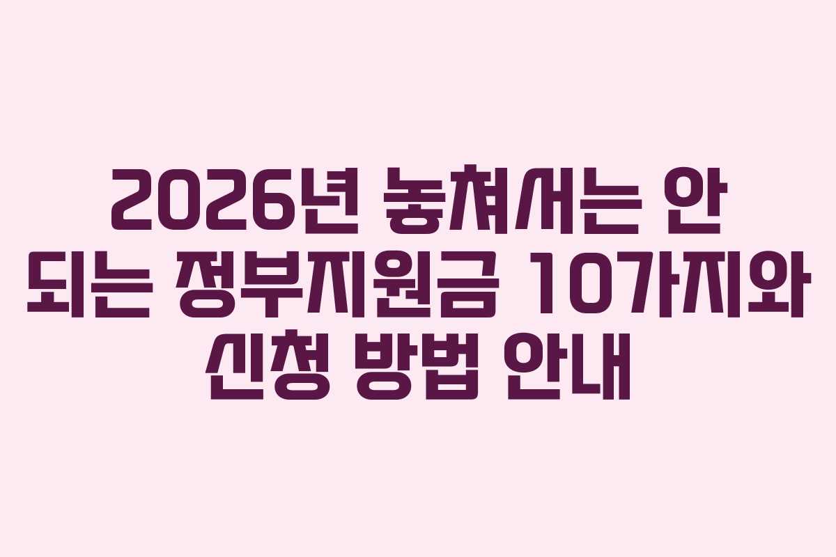 2026년 놓쳐서는 안 되는 정부지원금 10가지와 신청 방법 안내