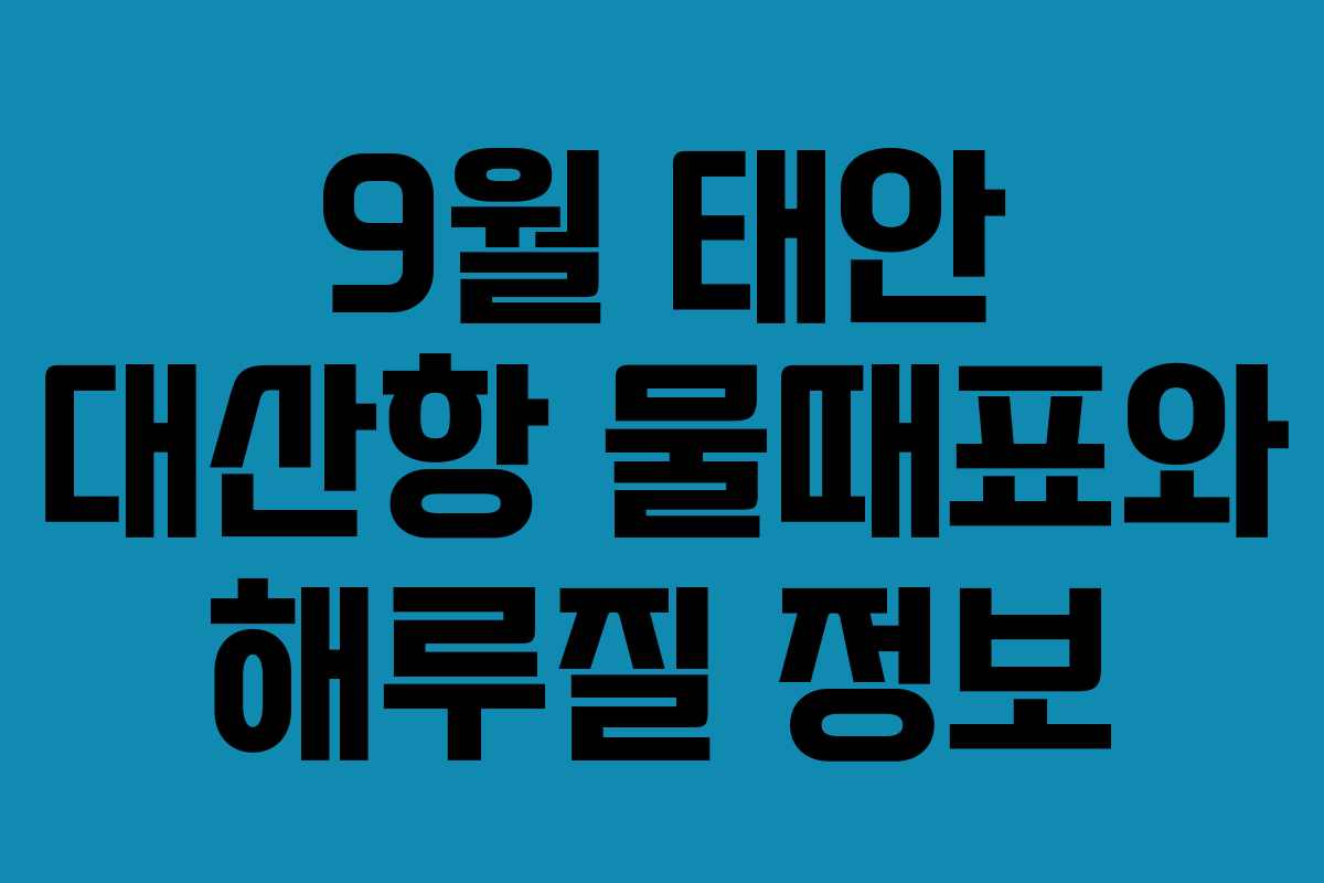 9월 태안 대산항 물때표와 해루질 정보