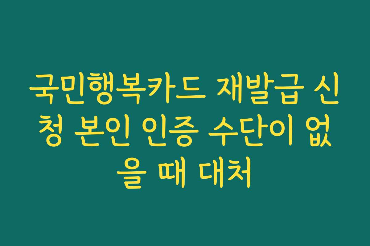 국민행복카드 재발급 신청 본인 인증 수단이 없을 때 대처