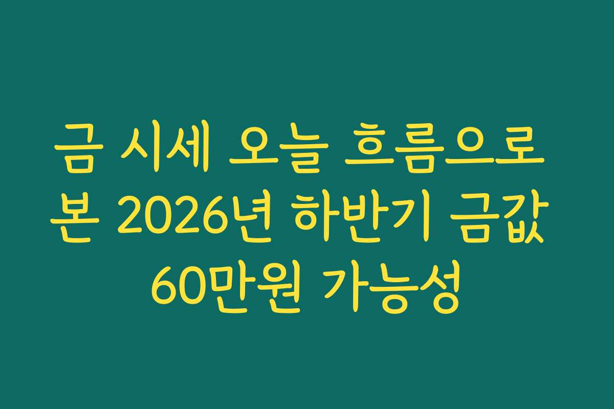 금 시세 오늘 흐름으로 본 2026년 하반기 금값 60만원 가능성