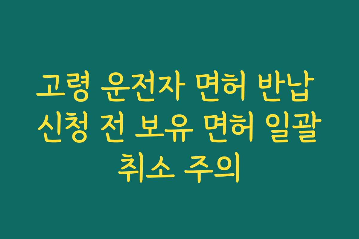 고령 운전자 면허 반납 신청 전 보유 면허 일괄취소 주의