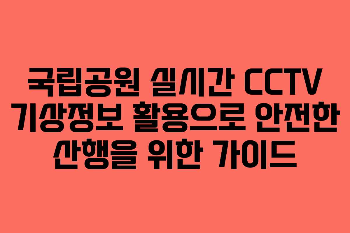 국립공원 실시간 CCTV 기상정보 활용으로 안전한 산행을 위한 가이드