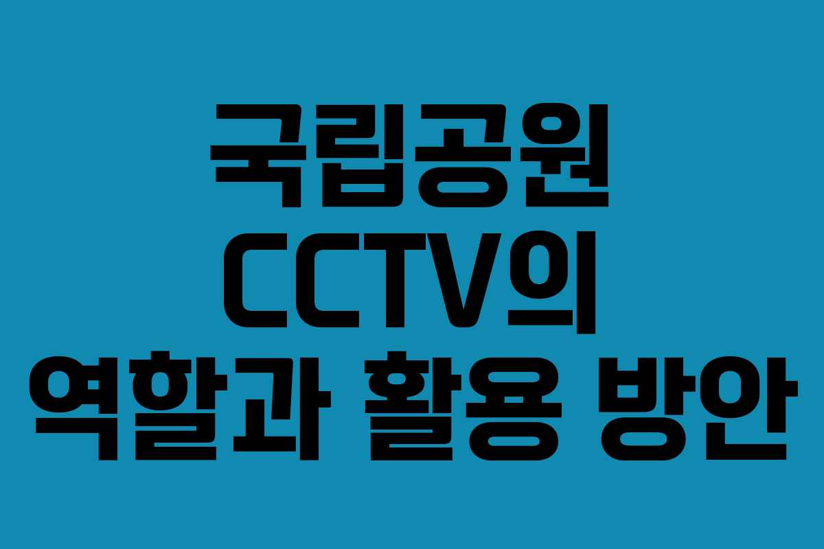 국립공원 CCTV의 역할과 활용 방안