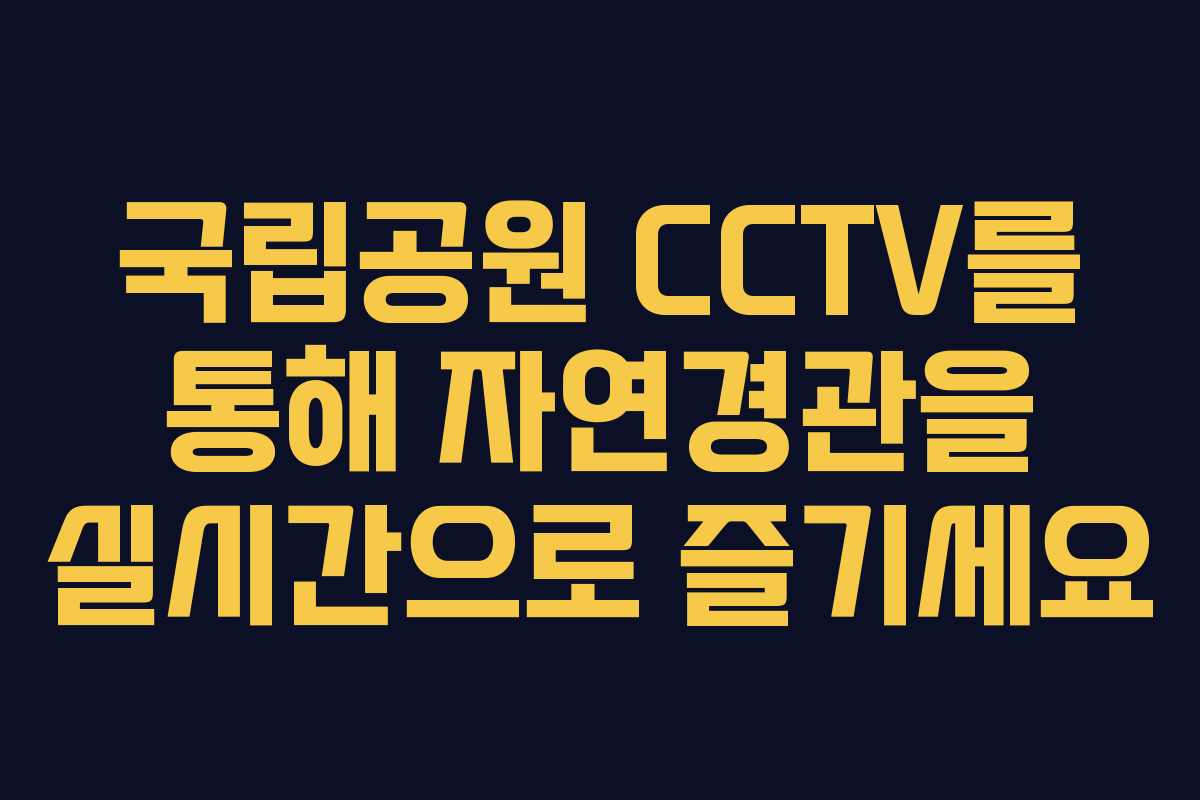국립공원 CCTV를 통해 자연경관을 실시간으로 즐기세요