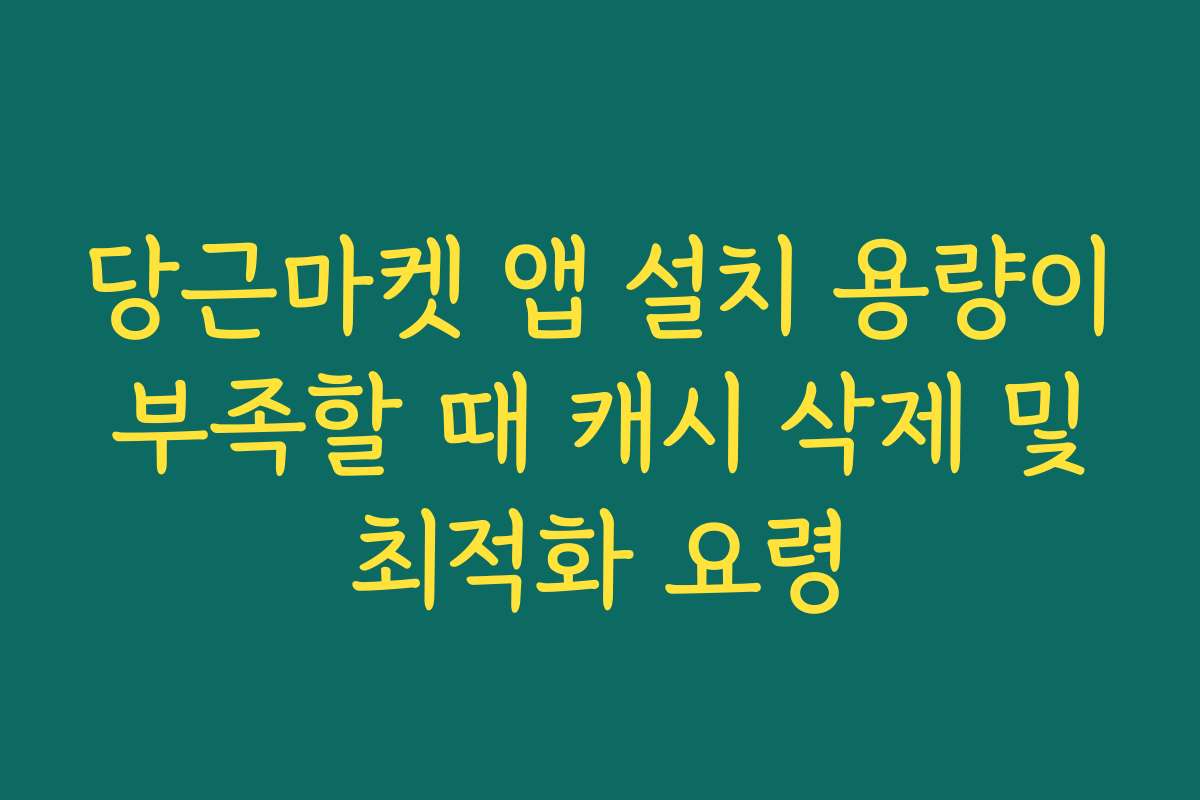 당근마켓 앱 설치 용량이 부족할 때 캐시 삭제 및 최적화 요령