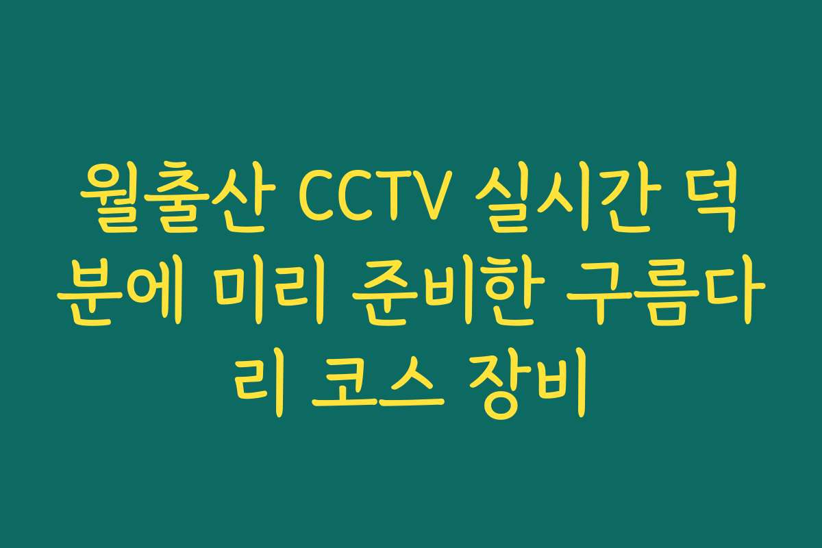 월출산 CCTV 실시간 덕분에 미리 준비한 구름다리 코스 장비