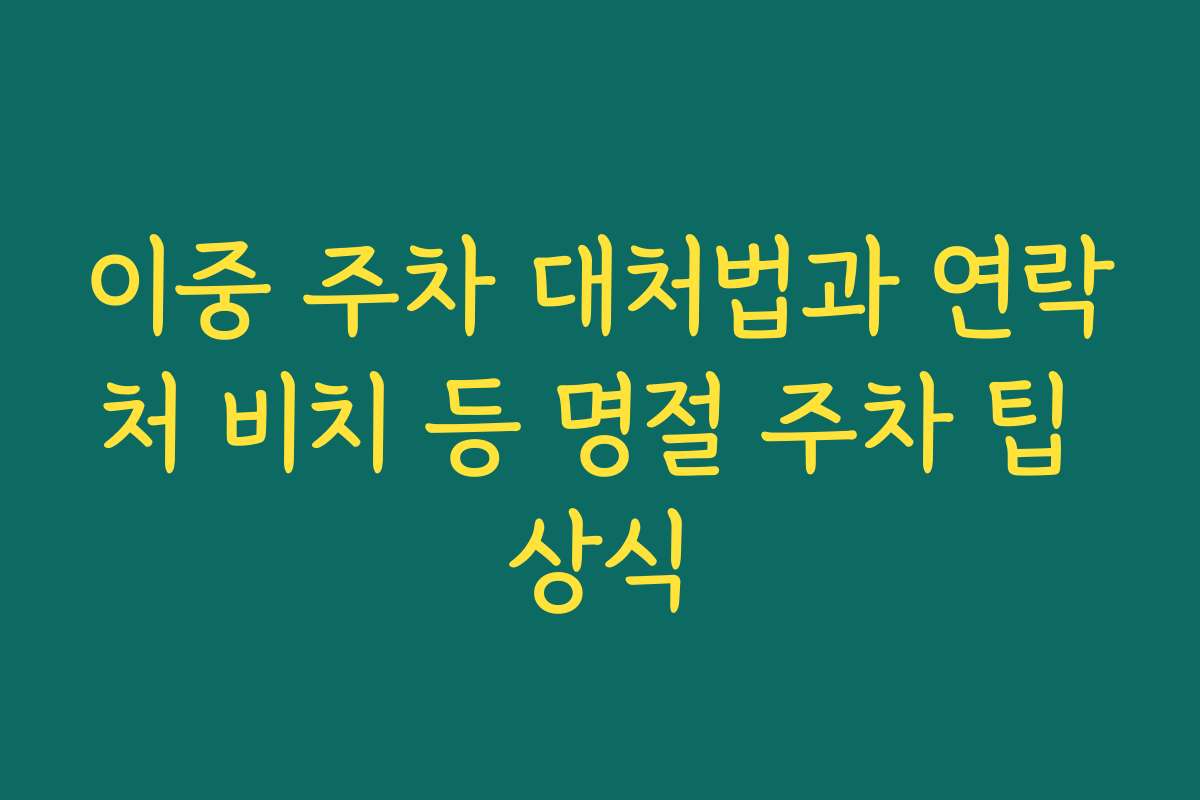 이중 주차 대처법과 연락처 비치 등 명절 주차 팁 상식